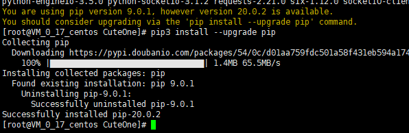 upgrade_pip